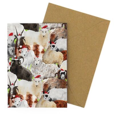 Flock Of Christmas Sheep Greeting Card