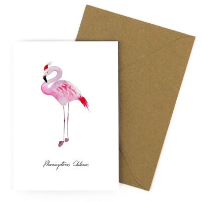 Flamboyance Christmas Chilean Flamingo Greetings Card