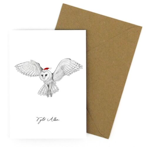 Christmas Barn Owl Greeting Card