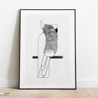 Affiche perroquet noir et blanc - Poster illustration animaux