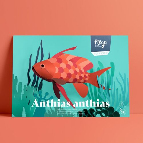 ANTHIAS ANTHIAS Paper figure Kit