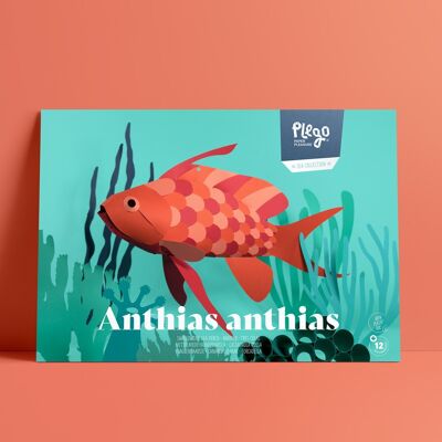 ANTHIAS ANTHIAS Kit de figurines en papier