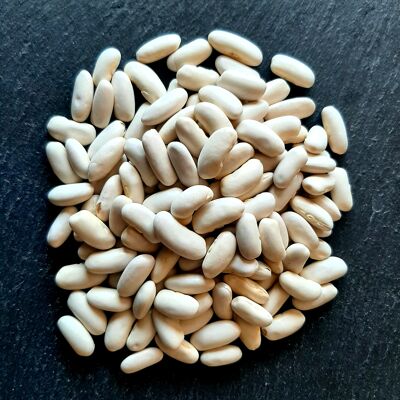 bulk white bullion beans 5kg