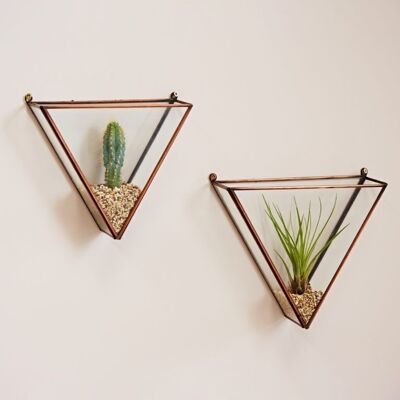 Dreieckiges Wandterrarium aus recyceltem Glas