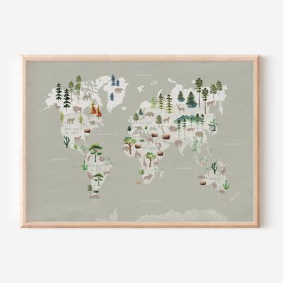 Carte du monde - Faune & Flore
