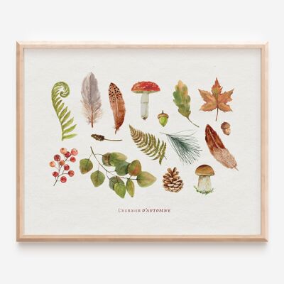 Autumn Herbarium