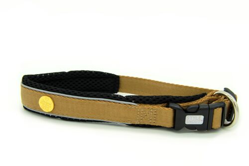 Hundehalsband Gold-Black-Edition, XS