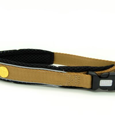 Hundehalsband Gold-Black-Edition, XS