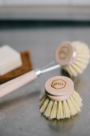 tête interchangeable gaia pour la brosse à vaisselle 2