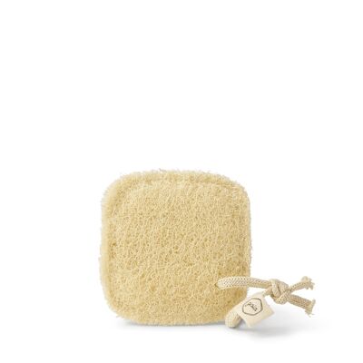 éponge à vaisselle gaia loofah