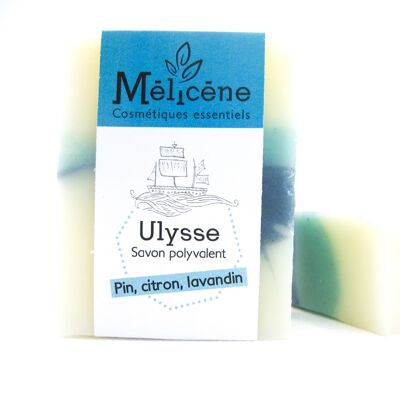 Multipurpose "Ulysse" soap - Pine, lemon & lavandin