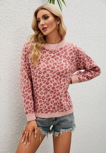 Pull basique en tricot à imprimé léopard-Rose 3