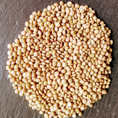 bulk blond lentils 1kg