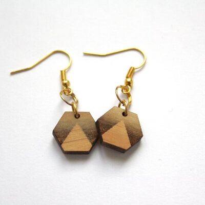 Hexagon shape geometric triangles earrings, golden fasteners