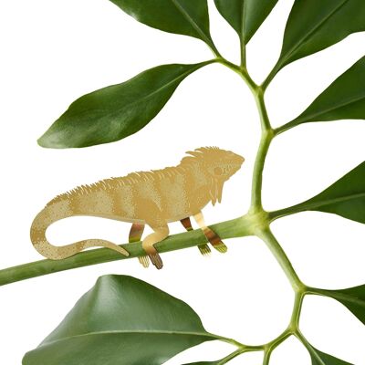Plant Animal Iguana Brass