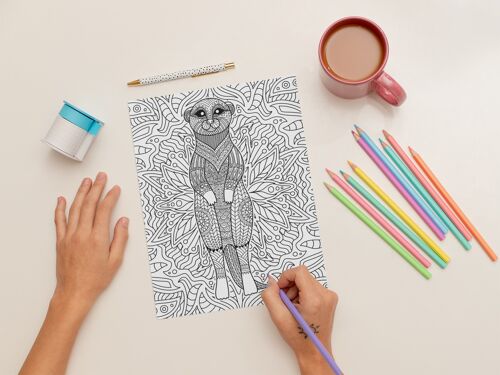Meerkat Birthday Card. Colour in yourself