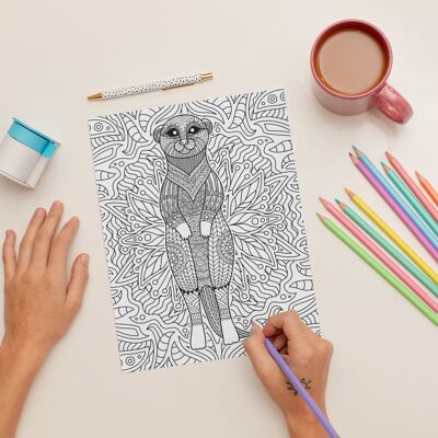 Meerkat Birthday Card. Colour in yourself