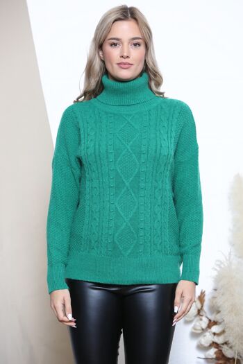 Col roulé en maille motif vert 4