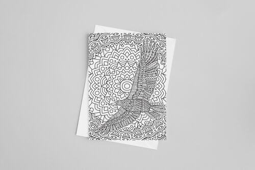 Eagle Colour in yourself Greetings card