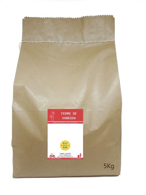 HARICOTS BLANCS - Grand Format - 5kg