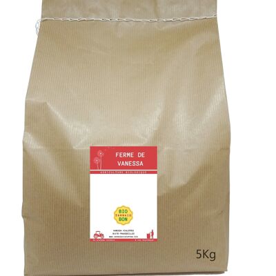 HARICOTS BLANCS - Grand Format - 5kg