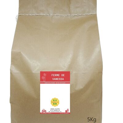 POIS CHICHES - Grand Format -5kg