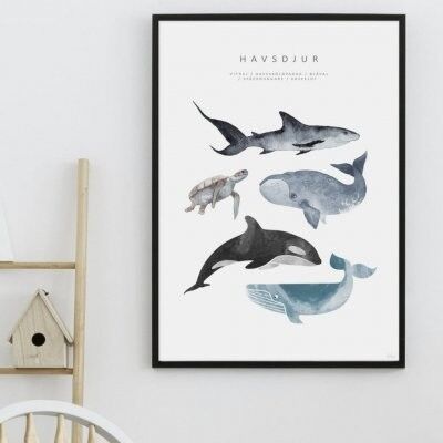 Poster, Havsdjur - 13x18 cm