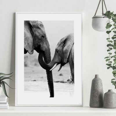 Poster, Two Elephants - 21x30 cm