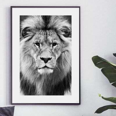 Poster, The King - 50x70 cm