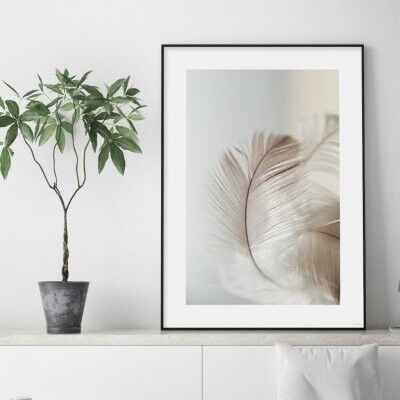 Poster, Soft feather - 30x40 cm