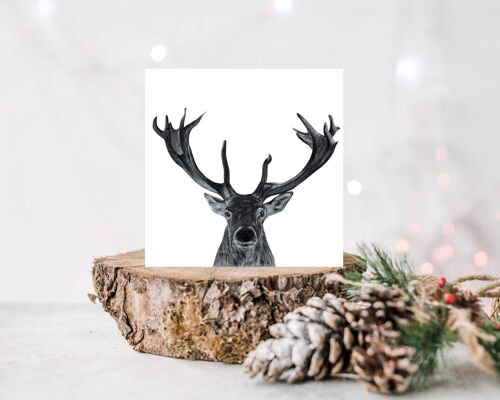 Polaris the Stag Greeting Card