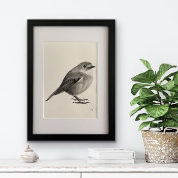 Atlas le jardin Robin Fine Art Print - Wall Decor - Hand Drawn - Mounted Giclèe Print 5