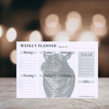 Carina l'hippopotame A4 Agenda de bureau hebdomadaire | Planificateur hebdomadaire Pad - Planificateur d'horaire hebdomadaire - Desk To Do Pad - Organisateur personnel - Bloc-notes 3