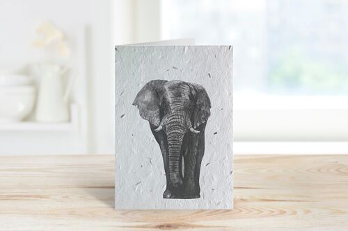 Atik the Elephant Plantable Seeded Blank Eco Card