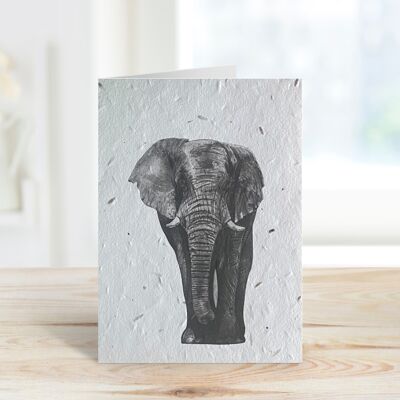 Atik the Elephant Plantable Seeded Blank Eco Card