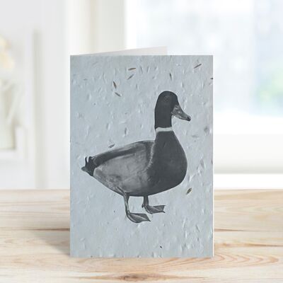 Rana the Duck Plantable Seeded Blank Eco Greeting Card