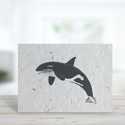 Lynx the Killer Whale Plantable Seeded Blank Eco Greeting Card