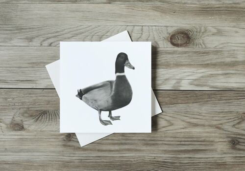 Rana the Duck Greeting Card - Single Card