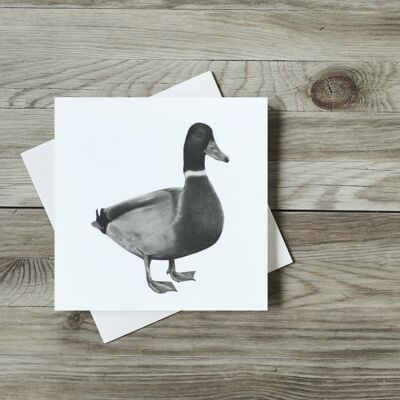 Rana the Duck Greeting Card - Single Card