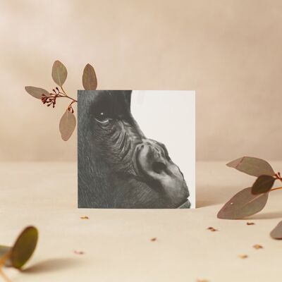 Orion the Gorilla Greeting Card - Single Card