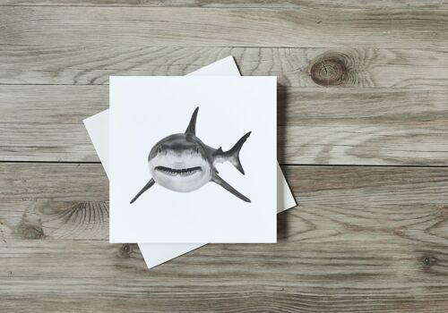 Vega the the Shark Greeting Card - Single Card