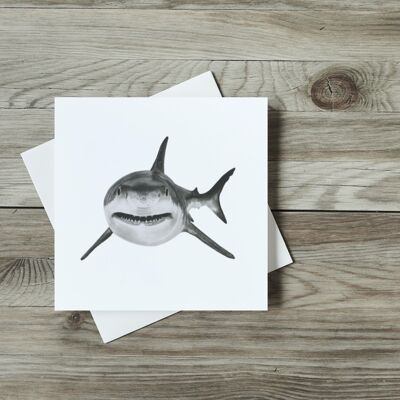 Vega the the Shark Greeting Card - Single Card