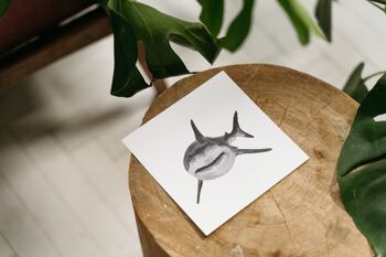 Vega le requin carte de voeux - carte unique 8