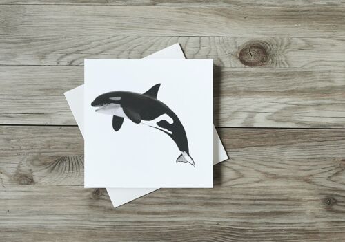 Lynx the Killer Whale Greeting Card - Single Card