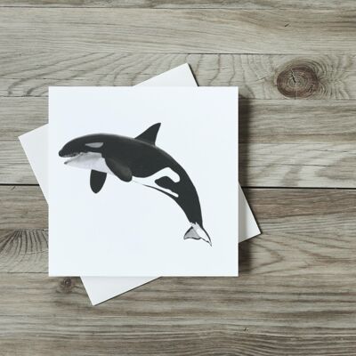 Lynx the Killer Whale Greeting Card - Single Card