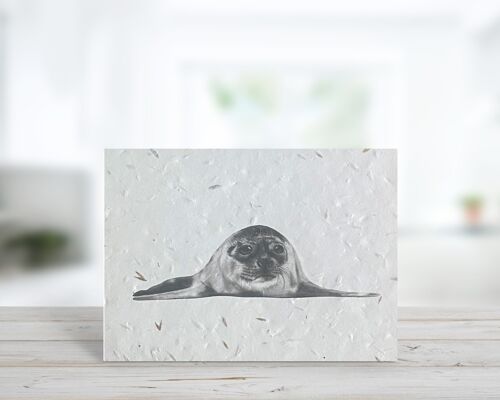 Ara the Seal Seeded Plantable Eco Blank Greeting Card
