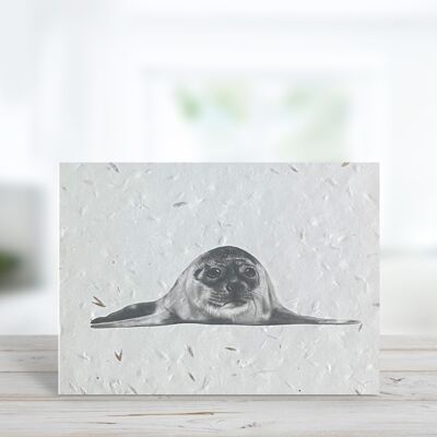 Ara the Seal Seed Plantable Eco Blank Grußkarte