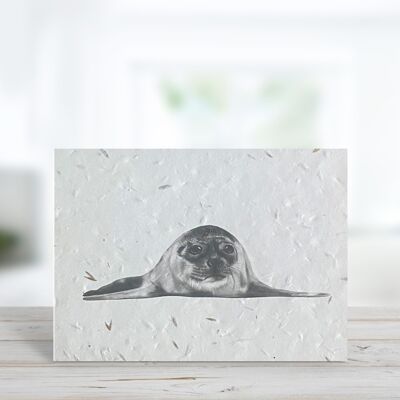 Ara the Seal Seeded Plantable Eco Blank Greeting Card