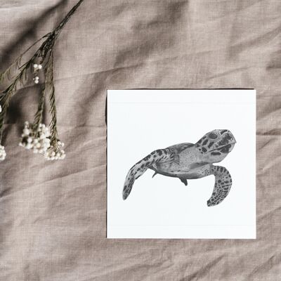 Heze The Turtle Greeting Card - Single Card