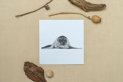 Ara the Seal Greeting Card - Single Card